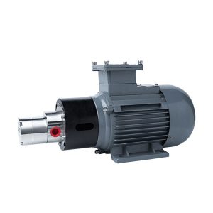 1-MPB150-550W-Explosion-Proof-Motor-316L-Stainless-Steel-Micro-Magnetic-Drive-Gear-Pump