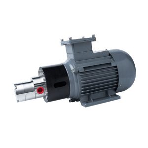 2-MPB150-550W-Explosion-Proof-Motor-316L-Stainless-Steel-Micro-Magnetic-Drive-Gear-Pump