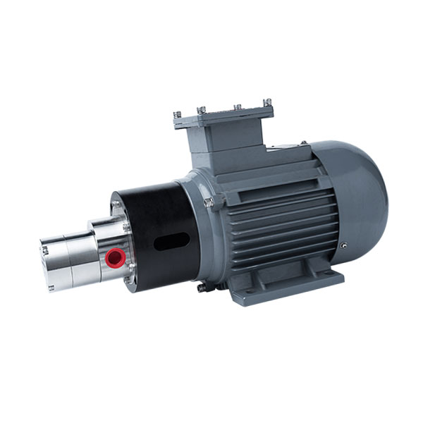 2-MPB150-550W-Explosion-Proof-Motor-316L-Stainless-Steel-Micro-Magnetic-Drive-Gear-Pump